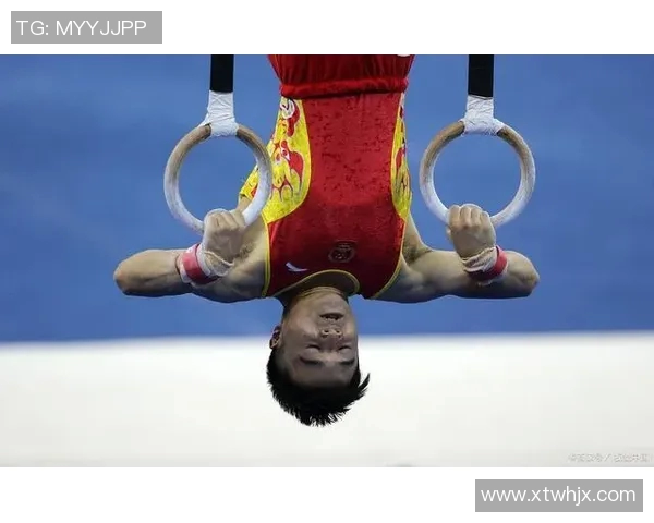 优质体育健身器材批发吊环助力全面锻炼提升运动表现与健康水平